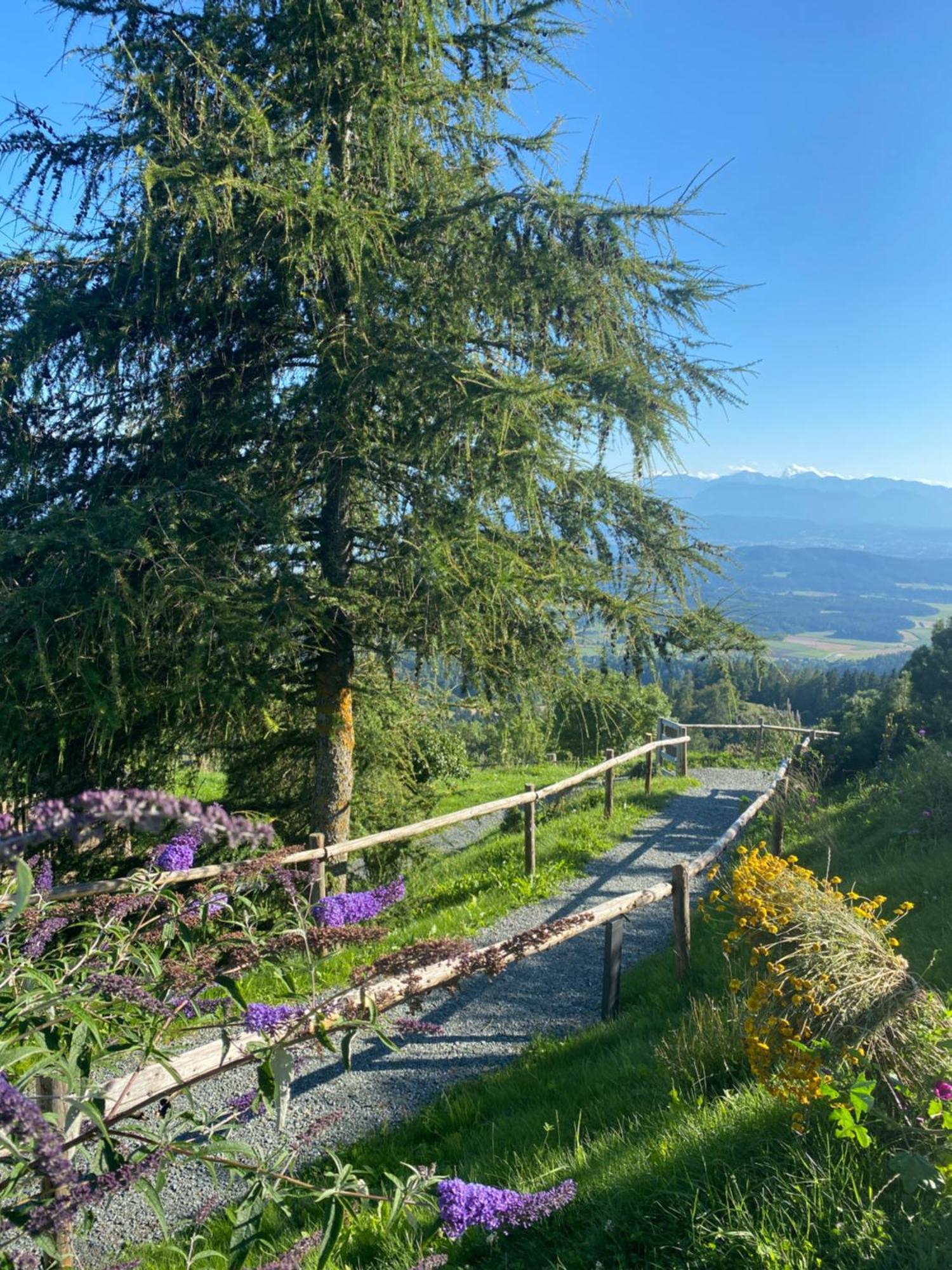 Hotel Gipfelhaus Magdalensberg Sankt Veit an der Glan Esterno foto
